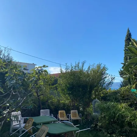 Apartment Biljana Gradac (Split-Dalmatia)