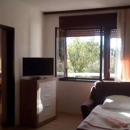 Apartment Biljana Gradac (Split-Dalmatia)